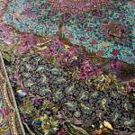 Luxury Pure Silk Iranian Handmade Carpet – 3.00m x 4.00m, Persian Elegance in Sharjah